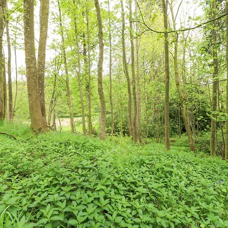 Semesterbostad Hilton Appleby-in-Westmorland