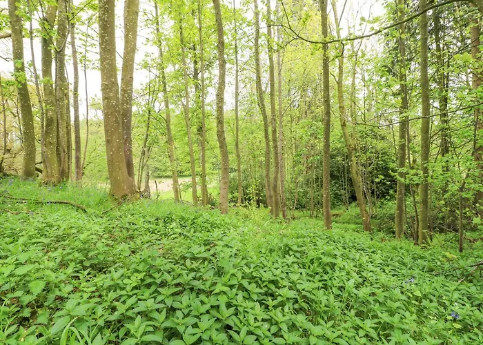 Prázdninový dům Hilton Appleby-in-Westmorland